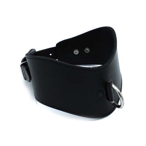 Contoured Black Leather Collar with D-Ring