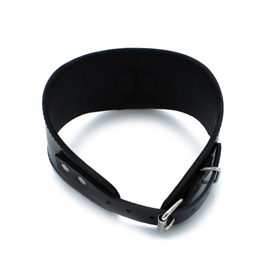 Contoured Black Leather Collar with D-Ring