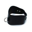 Contoured Black Leather Collar with D-Ring