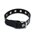 Black Leather Slim Collar with Multi-Metal Eyelets