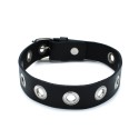 Black Leather Slim Collar with Multi-Metal Eyelets