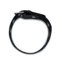 Black Leather Slim Collar with Multi-Metal Eyelets