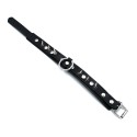Black Leather Spiked Collar with O-Ring