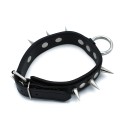 Black Leather Spiked Collar with O-Ring