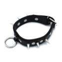 Black Leather Spiked Collar with O-Ring