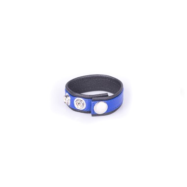 Rainbow Leather Cock Strap - Black & Blue