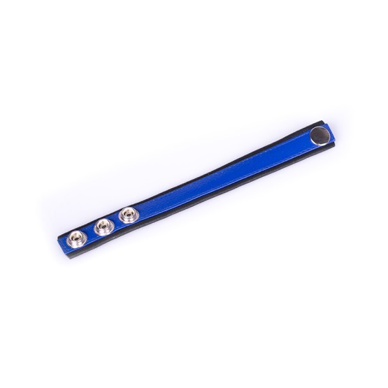 Rainbow Leather Cock Strap - Black & Blue