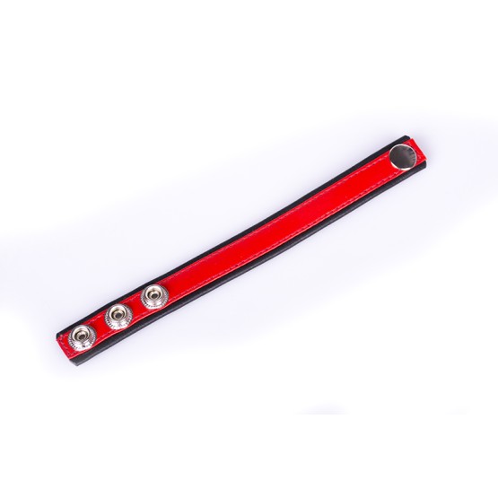 Rainbow Leather Cock Strap - Black & Red