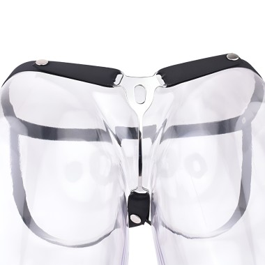 Male to Female Chastity Plate with Belt