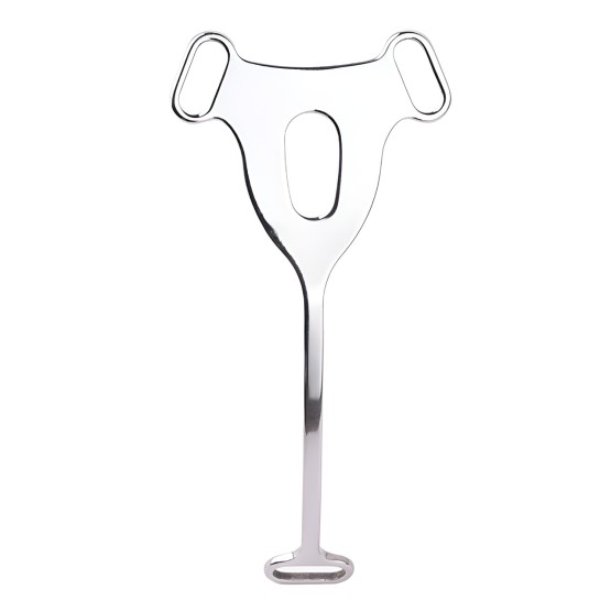 Male to Female Chastity Plate with Belt