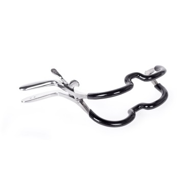 Kiotos Bizarre - Jennings