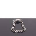 Magnetic Nipple Pinchers with polished chain