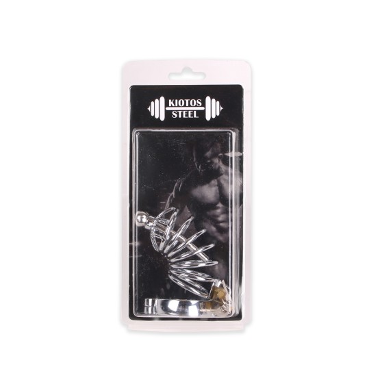 Chastity Cage /w Penis Stick