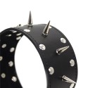 Leather Collar Spiked