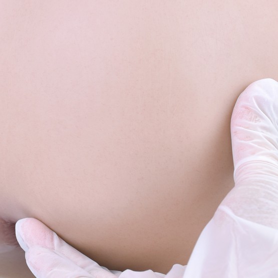 Realistic Silicone Body Form Vagina