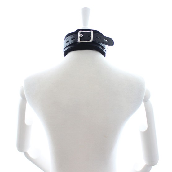Padded Collar with Leash Black