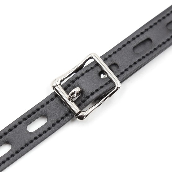 Mouth Gag with Hooks