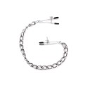 Nipple Clamps with Heavy Chain