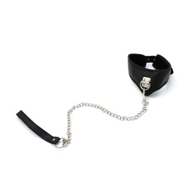 Basic Collar with lease