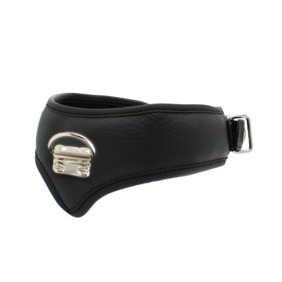 Basic Collar with lease