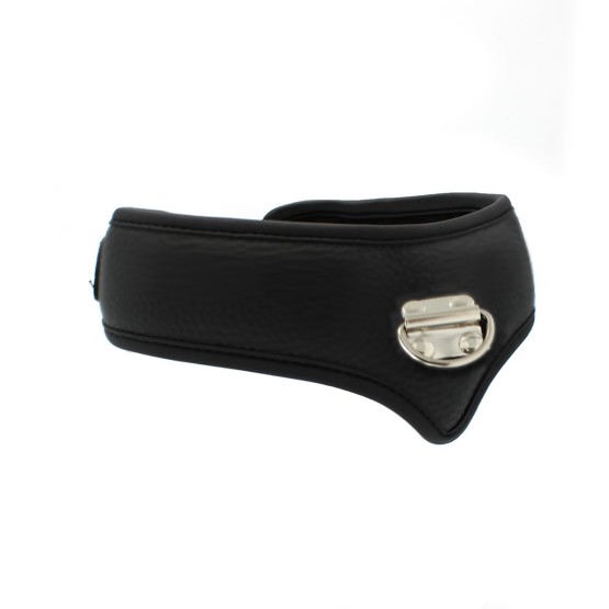 Basic Collar with lease