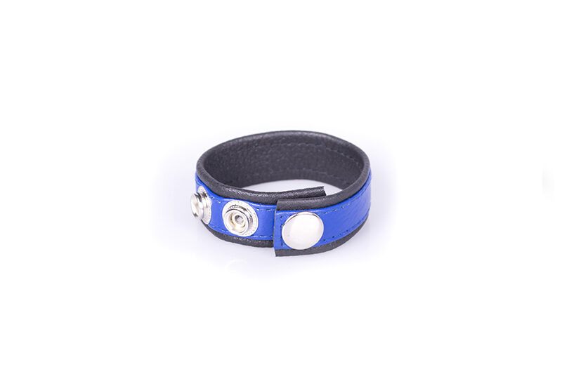 Rainbow Leather Cock Strap - Black & Blue