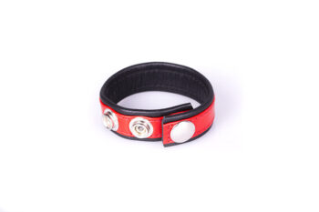 Rainbow Leather Cock Strap - Black & Red