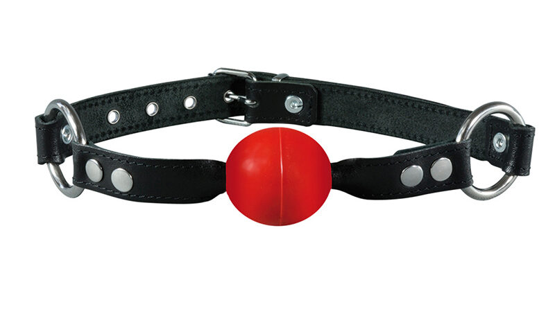 Ball gag normal