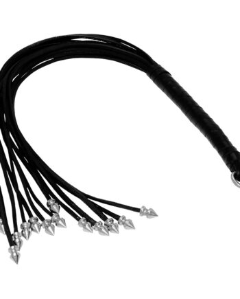 Spiked Whip