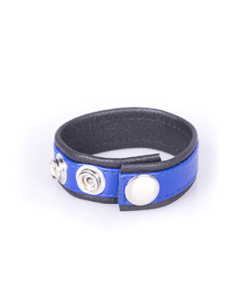 Rainbow Leather Cock Strap - Black & Blue