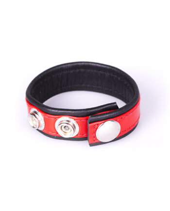 Rainbow Leather Cock Strap - Black & Red