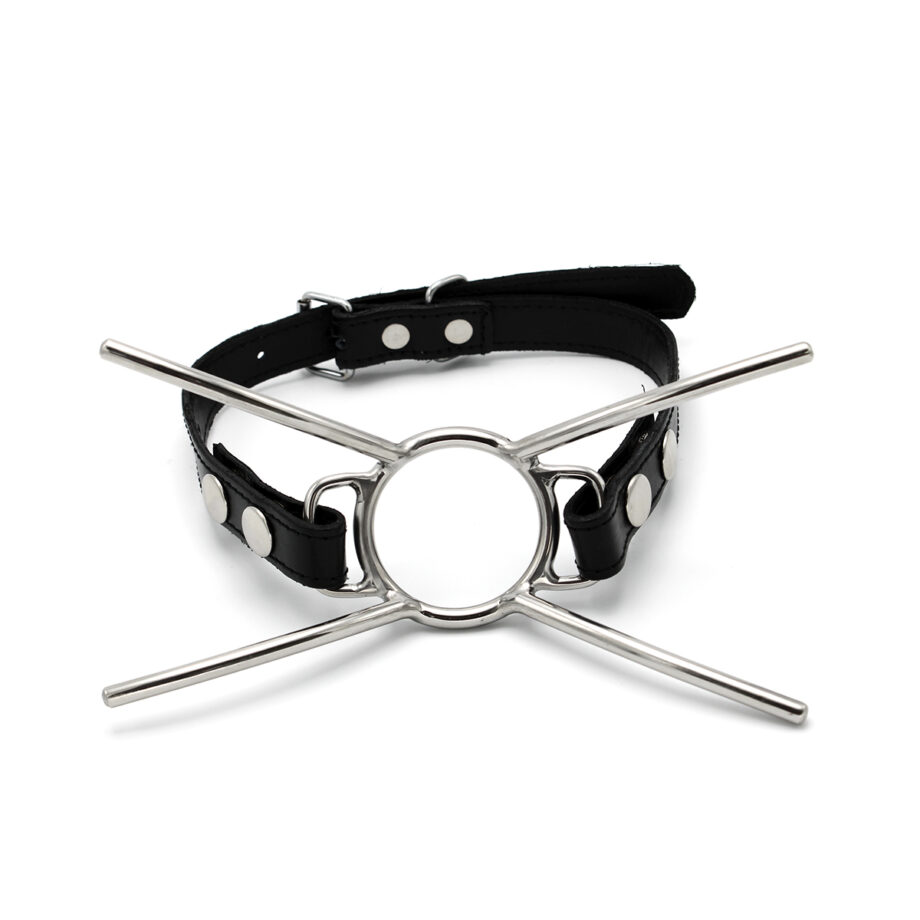 Cat Mouth Gag