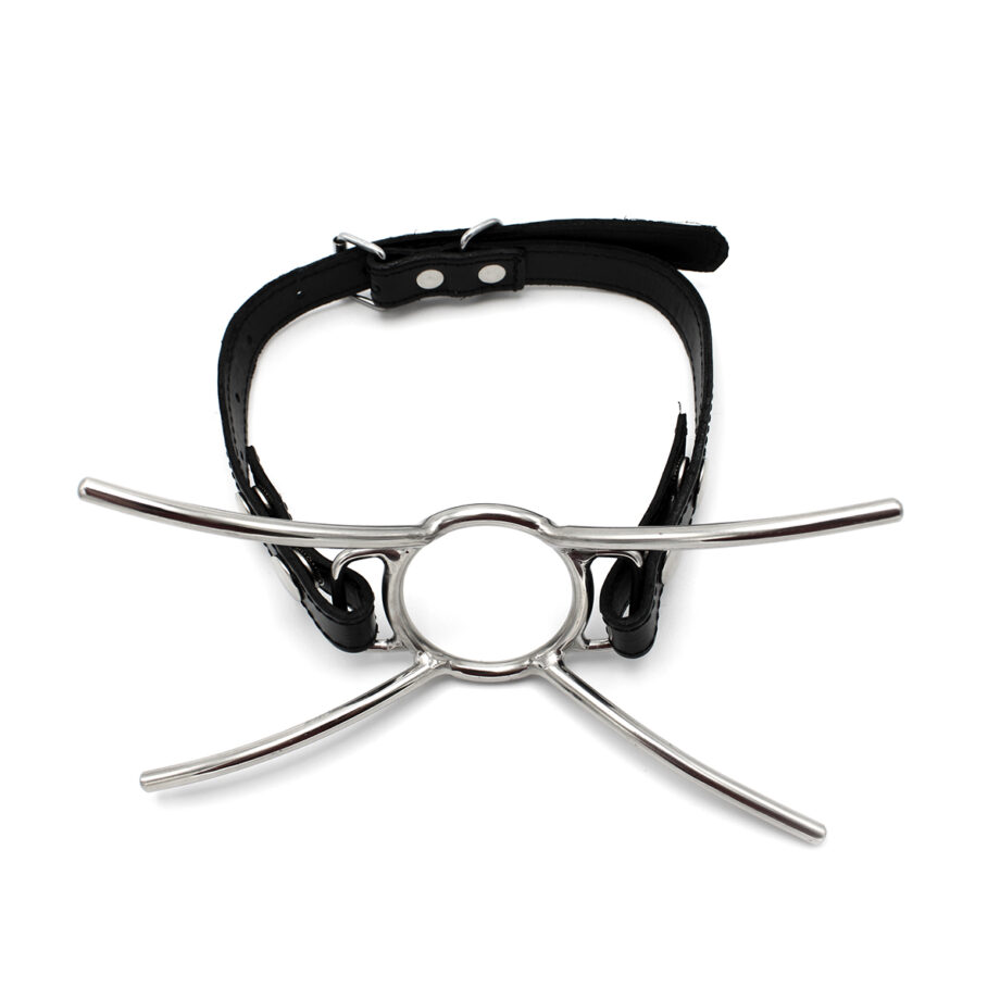 Cat Mouth Gag
