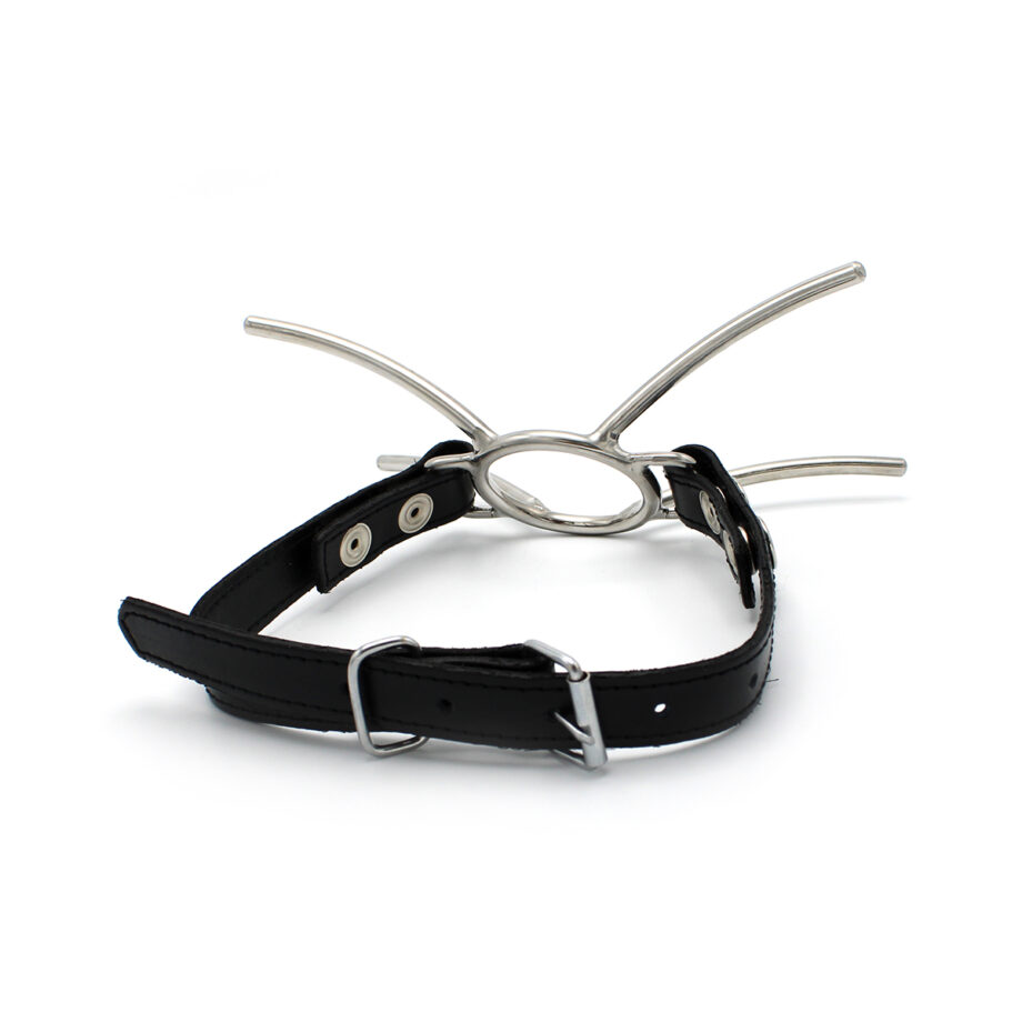 Cat Mouth Gag