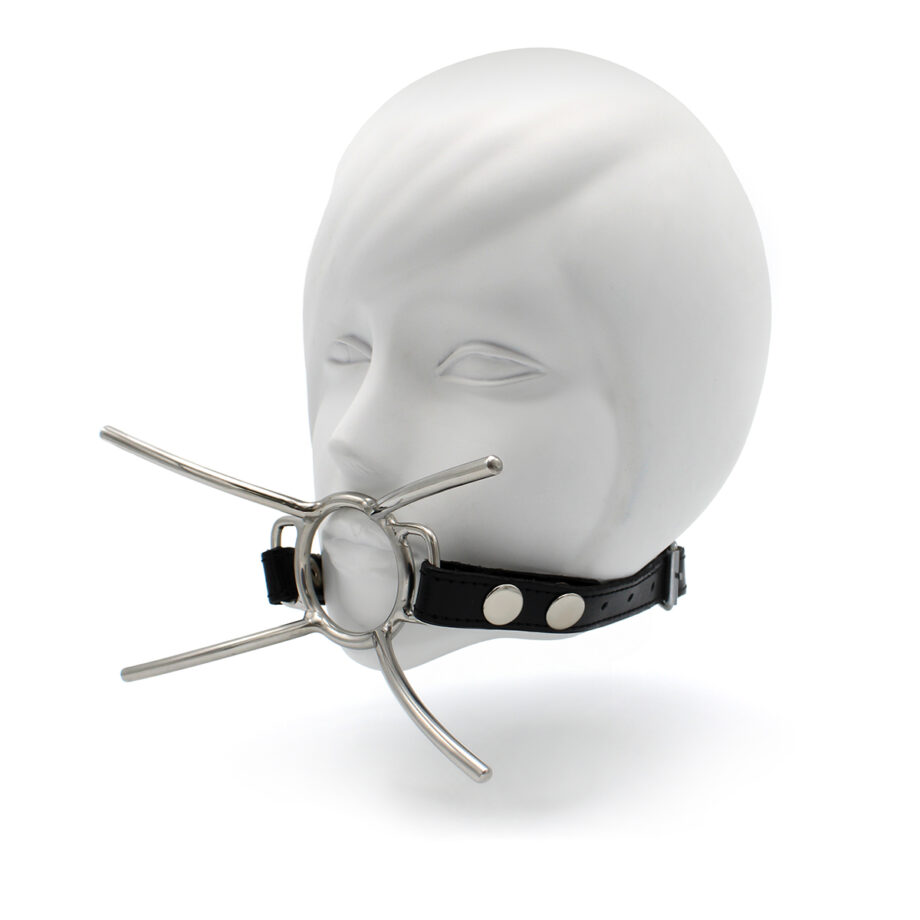 Cat Mouth Gag