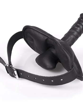 Mouthfuck Gag