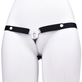 Male to Female Chastity Plate with Belt