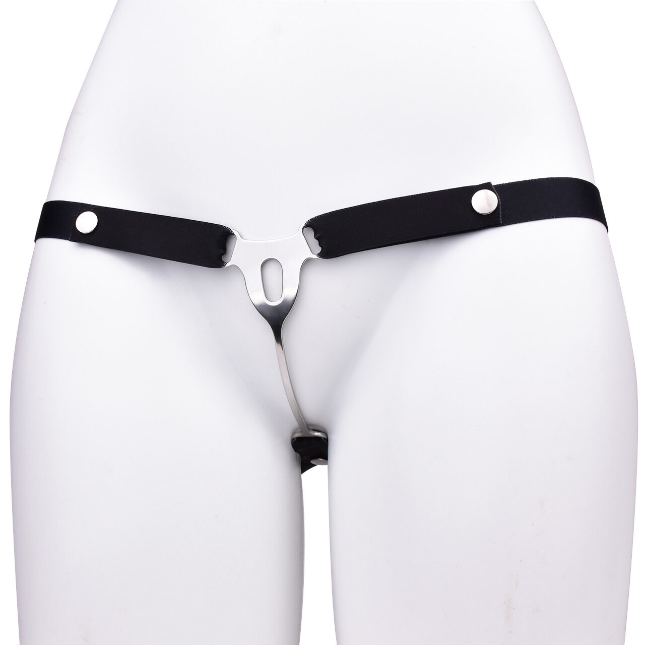 Male to Female Chastity Plate with Belt