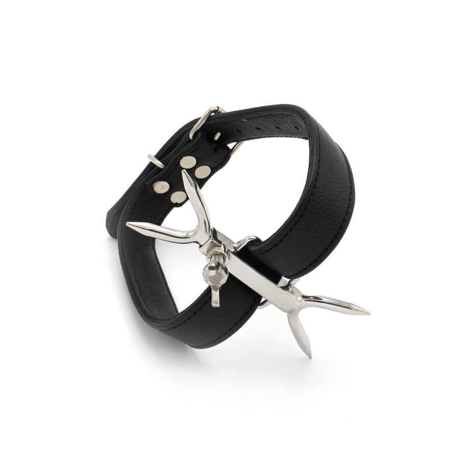 Adjustable Double Neck Collar with Pins