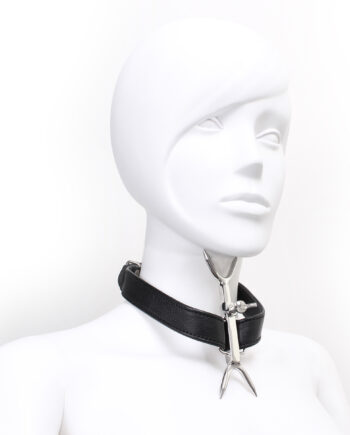 Adjustable Double Neck Collar with Pins