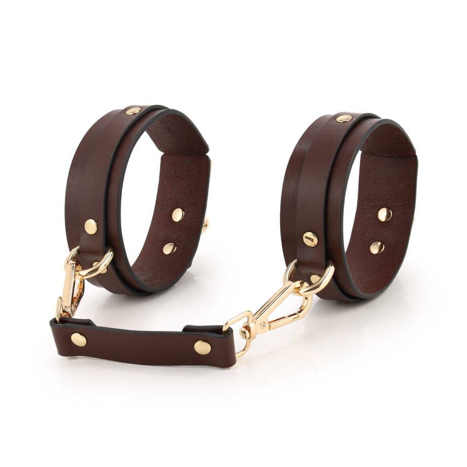 BDSM Fancy 9 Item Kit - Brown