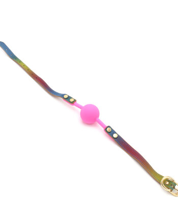 Ball Gag Rainbow