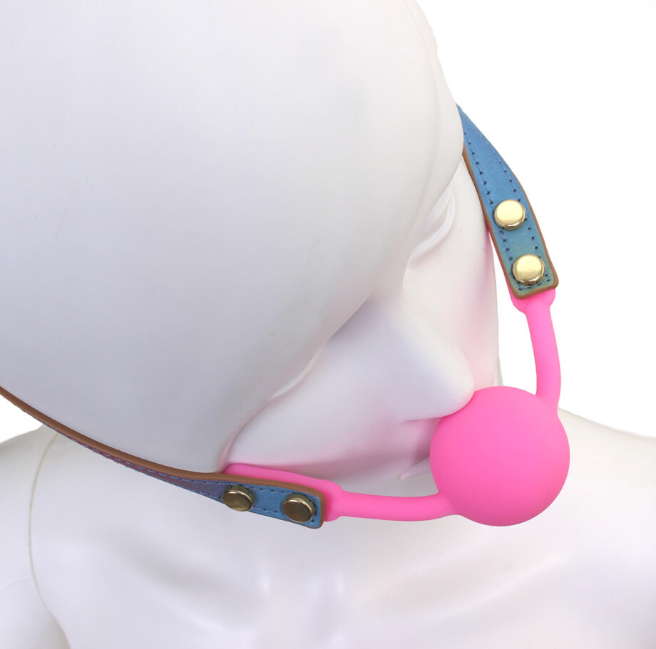 Ball Gag Rainbow
