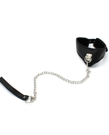 Basic Collar with lease