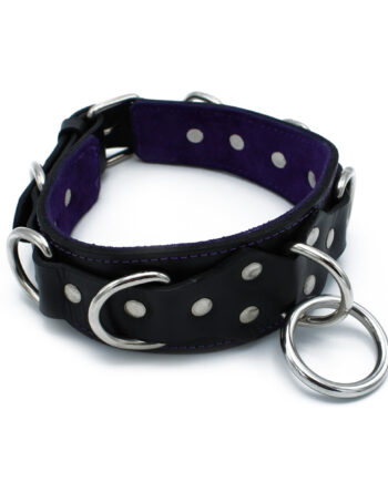 Black Leather Collar Deluxel O-Ring Multi-D-Rings