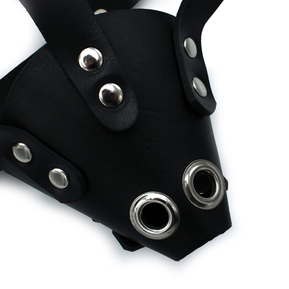 Black Leather Dog Mask with Ears & Snout