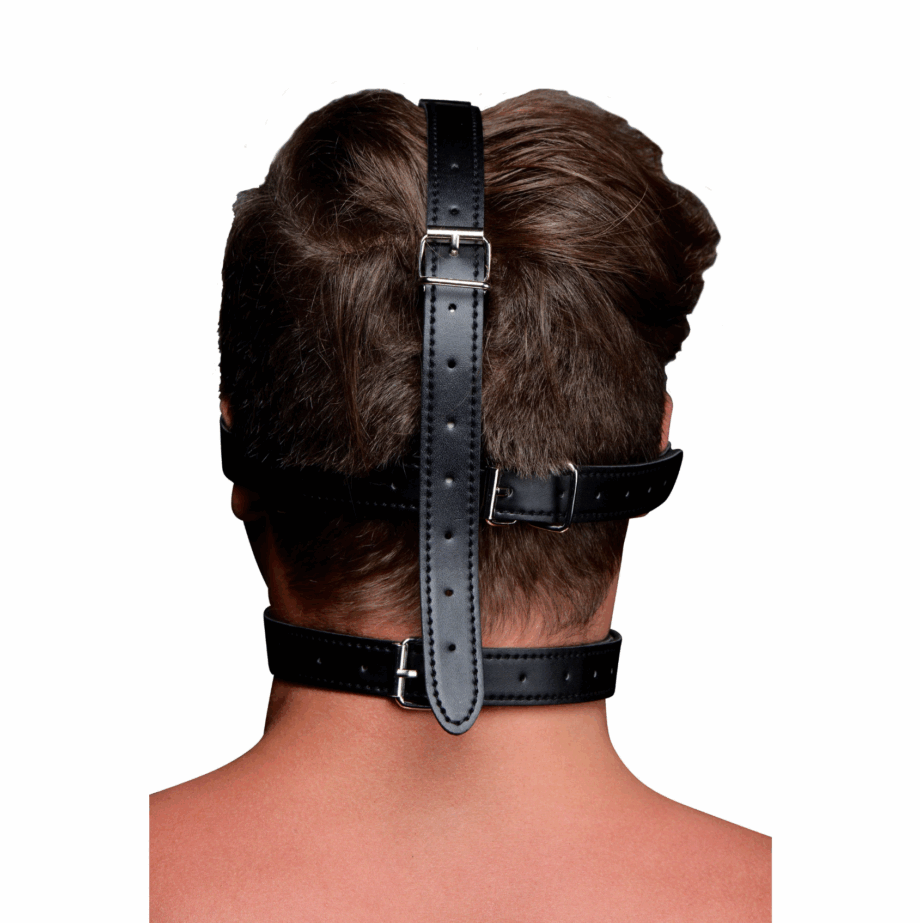 Blindfold Harness and Ball Gag