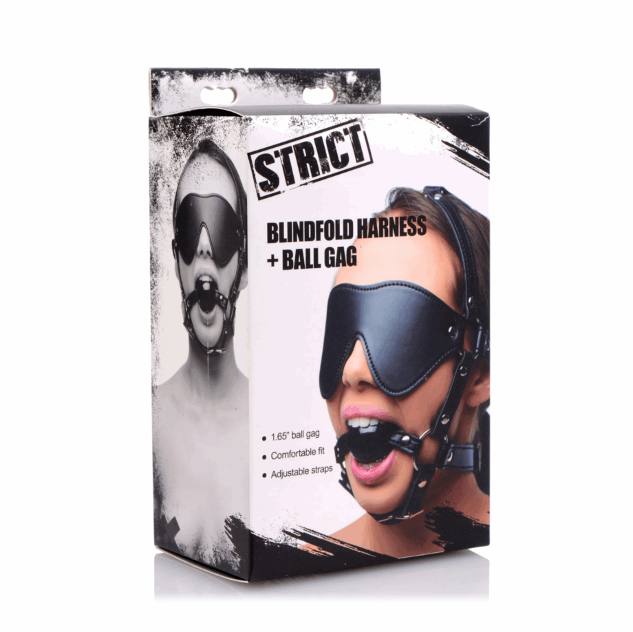 Blindfold Harness and Ball Gag