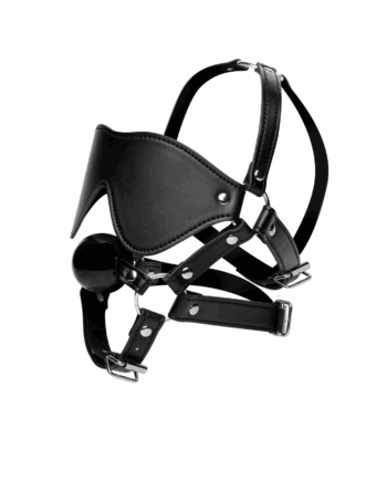 Blindfold Harness and Ball Gag