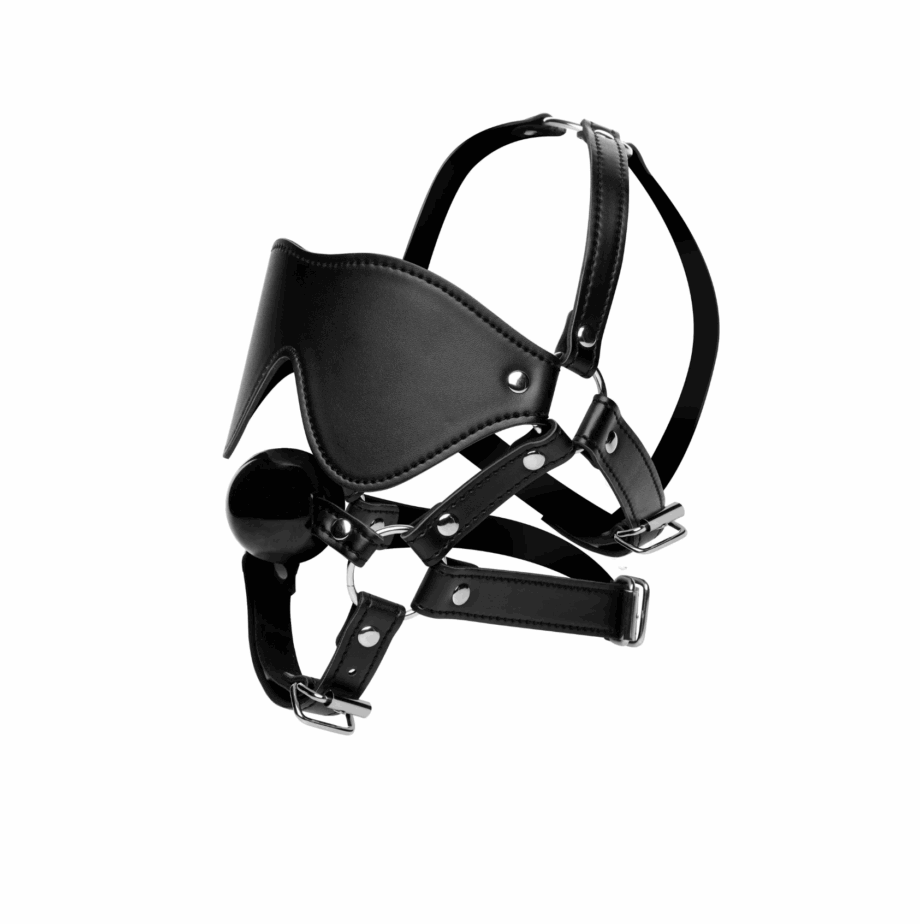 Blindfold Harness and Ball Gag